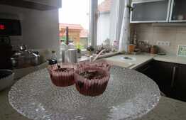 De vanzare casa finisata, la cheie, Exterior Sud