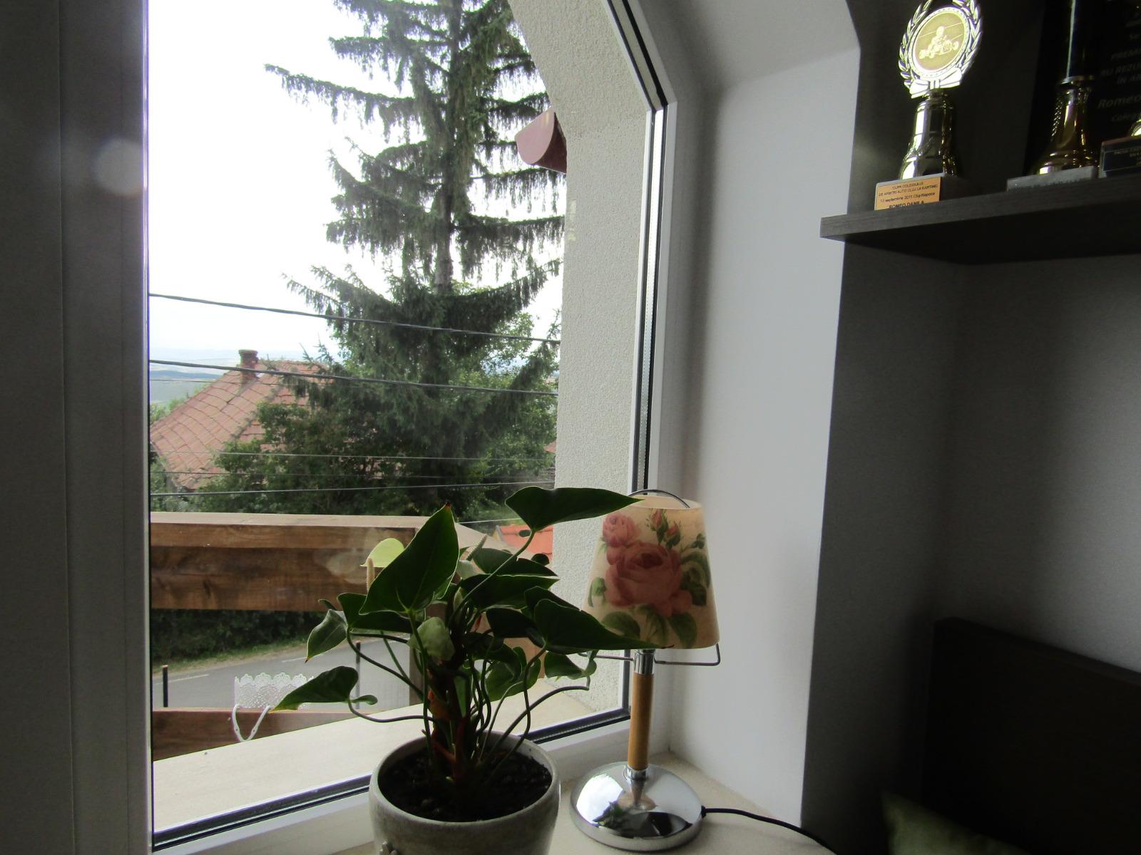 Casa de vânzare 3 camere Feleacu - 38626CV | BLITZ Cluj-Napoca | Poza21