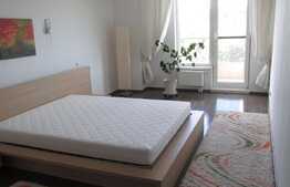 Apartament exclusivist, cu o suprafata generoasa si o panorama superba asupra Parcului Babes