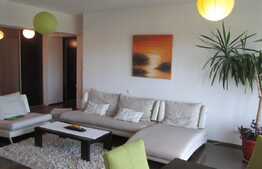 Apartament exclusivist, cu o suprafata generoasa si o panorama superba asupra Parcului Babes