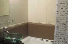 Apartament exclusivist, cu o suprafata generoasa si o panorama superba asupra Parcului Babes