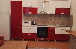  Apartament 2 camere, 60 mp, mobilat modern, zona centrala!