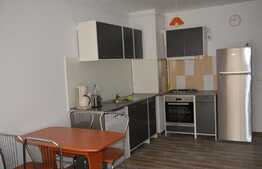 Apartament 2 camere, 50 mp, parcare subterana, zona strazii Buna Ziua