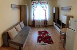 Garsoniera la cheie, pret accesibil, zona pretabila pentru investitie!