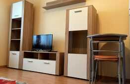 Garsoniera la cheie, pret accesibil, zona pretabila pentru investitie!