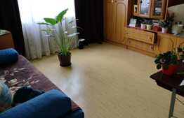 Apartament 2 camere, etaj intermediar, zona McDonald's 