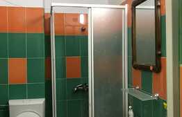 Te-ai gandit sa investesti in zona centrala a orasului? 