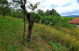 Teren intravilan 1150 mp in Sopor, cu reglementari favorabile pentru construire casa.