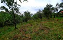 Teren intravilan 1150 mp in Sopor, cu reglementari favorabile pentru construire casa.