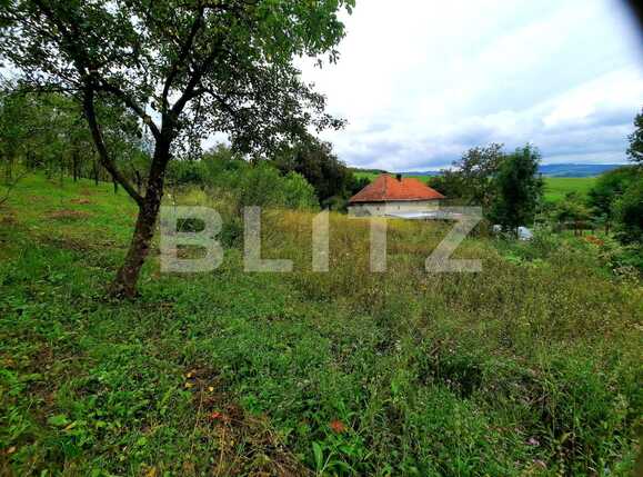 Teren de vânzare Sopor - 38682TV | BLITZ Cluj-Napoca | Poza1