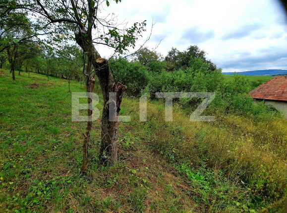 Teren de vânzare Sopor - 38682TV | BLITZ Cluj-Napoca | Poza3