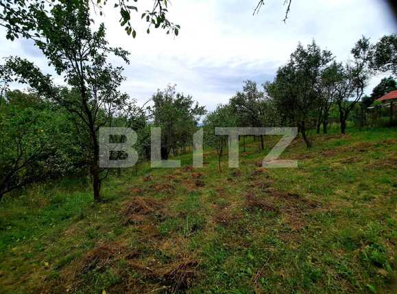 Teren de vânzare Sopor - 38682TV | BLITZ Cluj-Napoca | Poza2