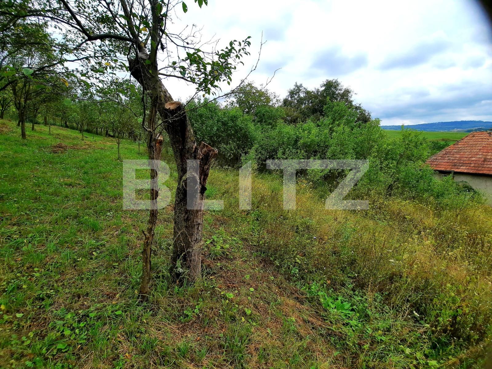 Teren de vânzare Sopor - 38682TV | BLITZ Cluj-Napoca | Poza3