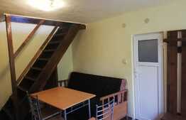 Apartament 2 camere, 45 mp, acces la gradina, zona UMF