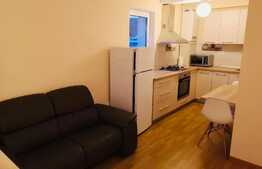 Apartament 1 camera, 38 mp, zona strazii Fantanele