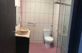Casa insiruita de inchiriat, 160 mp, mobilata modern, zona strazii Spicului
