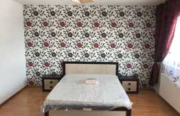 Casa insiruita de inchiriat, 160 mp, mobilata modern, zona strazii Spicului