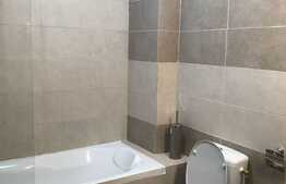 Casa insiruita de inchiriat, 160 mp, mobilata modern, zona strazii Spicului