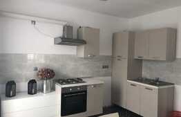 Apartament 3 camere, 76 mp, terasa 60 mp, garaj, zona Hotel Topaz