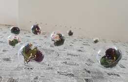 Apartament 2 camere, 67 mp, parcare, zona Oncos