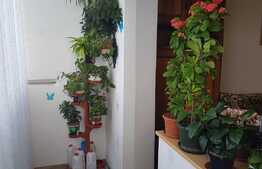 Apartament 3 camere, decomandat, zona Kaufland