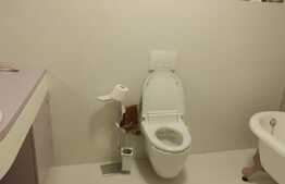 Apartament modern, cu 2 camere, 60 mp, prima inchiriere, in zona Mircea Eliade