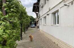 Imobil individual, 15 camere,  600 mp, curte de 500 mp, zona Iulius Mall