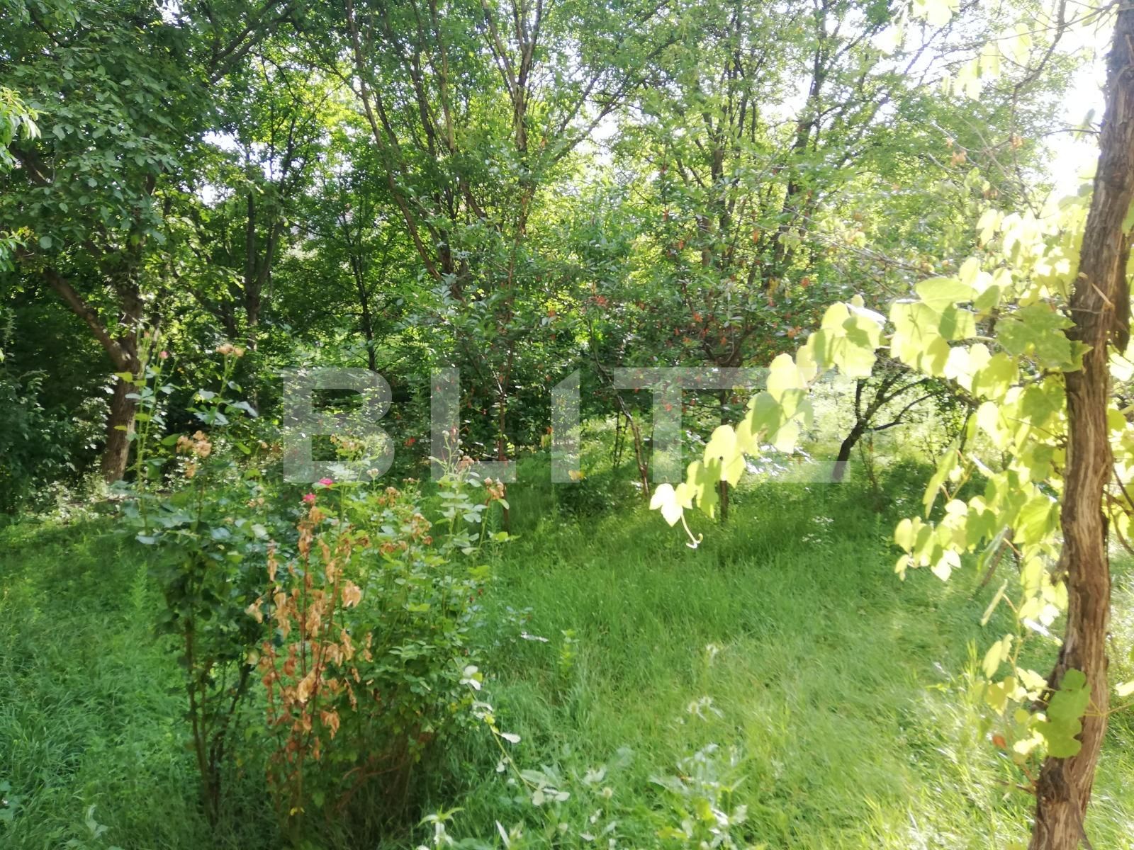 Apartament de închiriat 2 camere Andrei Mureşanu - 38768AI | BLITZ Cluj-Napoca | Poza9