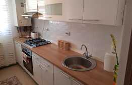 Apartament de LUX cu terasa, 2 camere, etaj intermediar! Zona Porii!