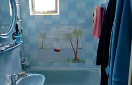 Piatra neslefuita se transforma in diamant!