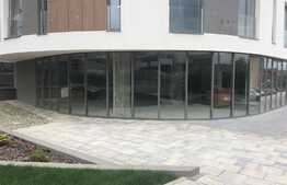 Spatiu comercial, unicat, la strada