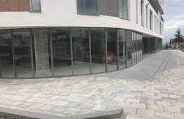 Spatiu comercial, unicat, la strada