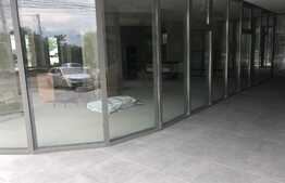 Spatiu comercial, unicat, la strada