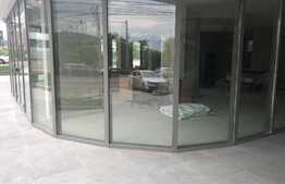 Spatiu comercial, unicat, la strada