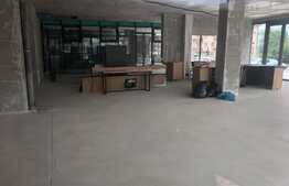 Spatiu comercial, unicat, la strada