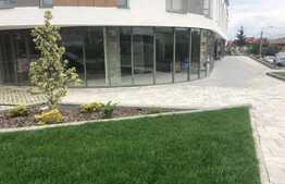 Spatiu comercial, unicat, la strada