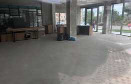 Spatiu comercial, unicat, la strada