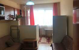 Garsoniera, 21 mp, etaj intermediar, zona Lombului