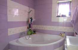 De vanzare casa individuala, finisata, la cheie, Exterior Est! Bonus hala de 112 mp cu utilitati!