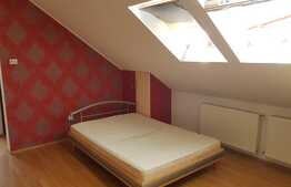 Apartament 1 camera, mansarda, 33mp, zona strazii Eroilor!