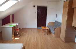 Apartament 1 camera, mansarda, 33mp, zona strazii Eroilor!