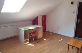 Apartament 1 camera, mansarda, 33mp, zona strazii Eroilor!