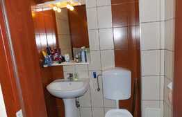 De vanzare duplex, 106 mp, teren 100 mp, zona Tauti