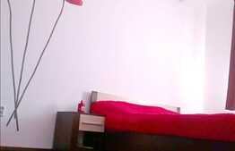 Vanzare 2 camere mobilat utilat in zona Ioan Rus