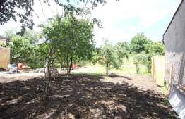 Casa Noua 100 mp, cu curte 1300 m2 in Dambul Rotund 