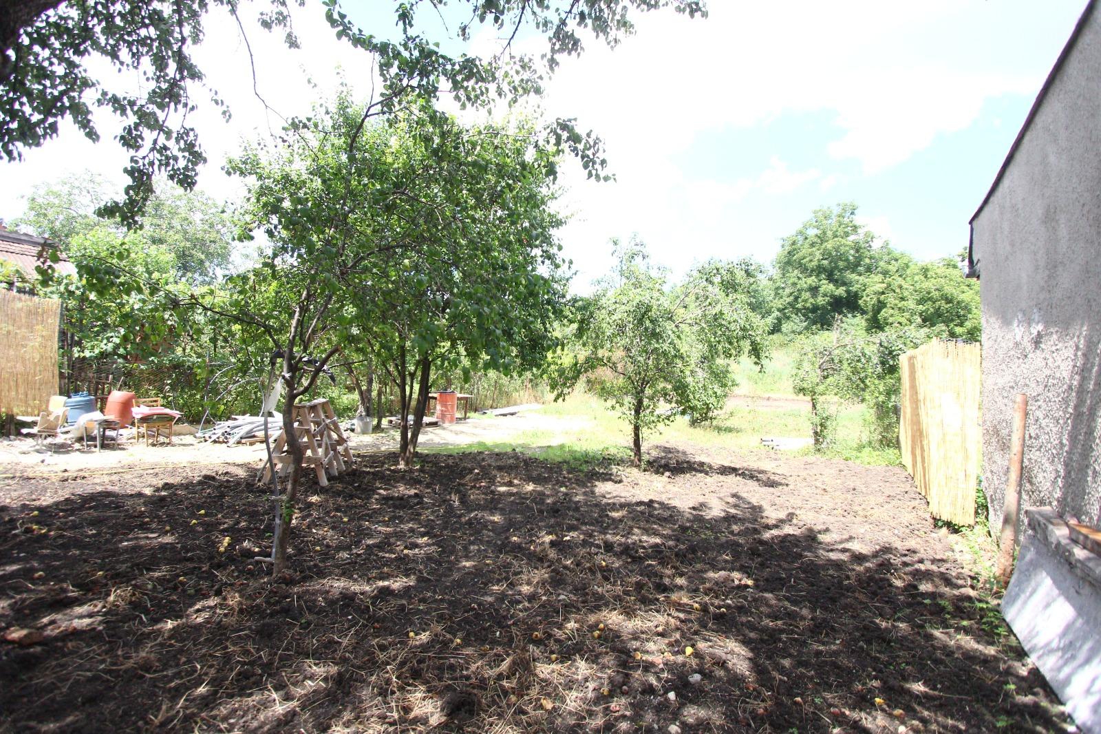 Casa de vânzare 3 camere Dambul Rotund - 38843CV | BLITZ Cluj-Napoca | Poza9