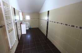 Spatiu de birou in duplex, 130 mp, Grigorescu