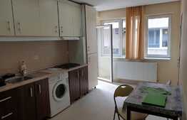 Apartament, 3 camere, zona Muzeul Apei!