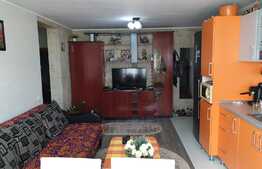 Apartament 2 camere, 42 mp, pod 20 mp, zona Terra!