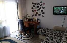 Apartament 2 camere, 42 mp, pod 20 mp, zona Terra!